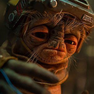 Meet your Posher, Kevin